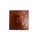 Pumpkin Spice Choklad 49% EKO 48g