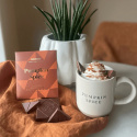 Pumpkin Spice Choklad 49% EKO 48g