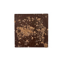 Salt Karamell Choklad 49% EKO 48g