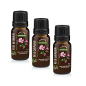 Rosengeranium Eterisk Olja EKO 10ml x 3 flaskor