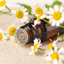 Kamomill Eterisk Olja 50 ml