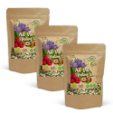 Acid-Base Fasting Te EKO 50g x 3 paket