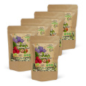 Acid-Base Fasting Te EKO 50g x 5 paket
