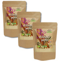 Astragalus Pulver EKO 125g x 3 paket