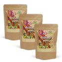Astragalus Pulver EKO 125g x 3 paket