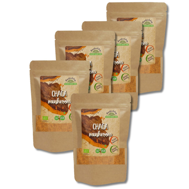 Chaga Pulver EKO 125g x 5 paket i gruppen Kosttillskott / Örter & Växter / Svampar hos Rawfoodshop Scandinavia AB (RAW00204-SET5)