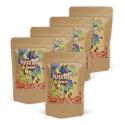 Linfrön Bruna EKO 500g x 5 paket