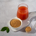 Acerola pulver EKO 125g