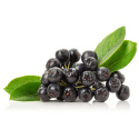 Aronia Pulver EKO 250g