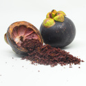 Mangostan Pulver EKO 125g