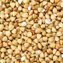 Bovete EKO 1kg