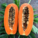 Papaya EKO 500g