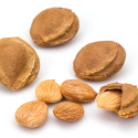 Aprikoskärnor Söta EKO 500g