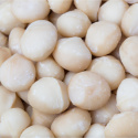 Macadamianötter Premium RAW EKO 500g