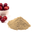 Camu Camu Pulver EKO 125g