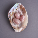 Snäckskal Mother of Pearl Rosa Stort