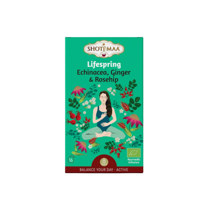 Echinacea, Ingefära & Nypon Örtte EKO 16 x 2g i gruppen Råvaror & Dryck / Drycker / Teer hos Rawfoodshop Scandinavia AB (SKU-798)