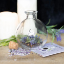 Glas Magic Spell Jar med Recepthäfte 10 cm