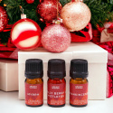 Doftoljor Holy Scents of Christmas
