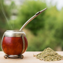Yerba Mate Te EKO 100g